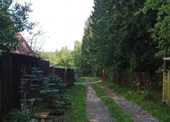 Плюсы и минусы присоединения СНТ к деревне