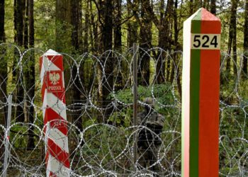 Польские силовики выбросили избитого мигранта на территорию Белоруссии