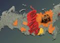 Катастрофическая ситуация с дикими медведями в России