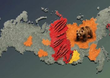 Катастрофическая ситуация с дикими медведями в России