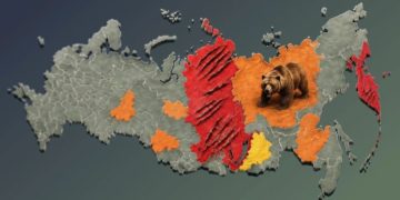 Катастрофическая ситуация с дикими медведями в России