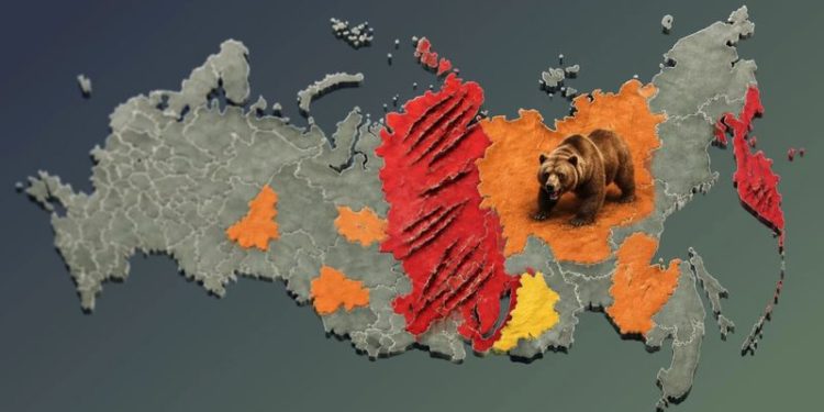 Катастрофическая ситуация с дикими медведями в России